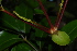  ( - OM2250)  @11 [ ] Unspecified (default): All Rights Reserved  Unspecified Unspecified