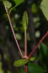  ( - OM2250)  @11 [ ] Unspecified (default): All Rights Reserved  Unspecified Unspecified
