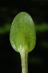  ( - OM2250)  @11 [ ] Unspecified (default): All Rights Reserved  Unspecified Unspecified