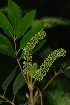  ( - OM2250)  @11 [ ] Unspecified (default): All Rights Reserved  Unspecified Unspecified