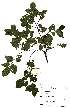  ( - OM2253)  @11 [ ] Unspecified (default): All Rights Reserved  Unspecified Unspecified