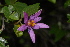  ( - OM2253)  @11 [ ] Unspecified (default): All Rights Reserved  Unspecified Unspecified