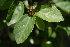  ( - OM2253)  @11 [ ] Unspecified (default): All Rights Reserved  Unspecified Unspecified