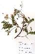  (Virgila - OM2259)  @11 [ ] Unspecified (default): All Rights Reserved  Unspecified Unspecified