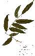  ( - OM2276)  @11 [ ] Unspecified (default): All Rights Reserved  Unspecified Unspecified