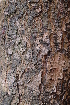  ( - OM2276)  @11 [ ] CreativeCommons - Attribution Non-Commercial Share-Alike (2010) Olivier Maurin University of Johannesburg