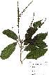  ( - OM2280)  @11 [ ] Unspecified (default): All Rights Reserved  Unspecified Unspecified