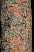  ( - OM2303)  @11 [ ] CreativeCommons - Attribution Non-Commercial Share-Alike (2010) Olivier Maurin University of Johannesburg