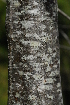  ( - OM2306)  @11 [ ] CreativeCommons - Attribution Non-Commercial Share-Alike (2010) Olivier Maurin University of Johannesburg