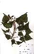  ( - OM2311)  @11 [ ] Unspecified (default): All Rights Reserved  Unspecified Unspecified