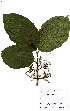  ( - OM2312)  @11 [ ] Unspecified (default): All Rights Reserved  Unspecified Unspecified