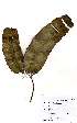  ( - OM2316)  @11 [ ] Unspecified (default): All Rights Reserved  Unspecified Unspecified