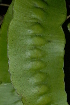  ( - OM2316)  @11 [ ] Unspecified (default): All Rights Reserved  Unspecified Unspecified