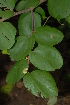  ( - OM2318)  @11 [ ] Unspecified (default): All Rights Reserved  Unspecified Unspecified