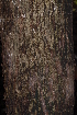  ( - OM2318)  @11 [ ] Unspecified (default): All Rights Reserved  Unspecified Unspecified