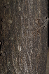  ( - OM2324)  @11 [ ] Unspecified (default): All Rights Reserved  Unspecified Unspecified