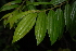  ( - OM2325)  @11 [ ] Unspecified (default): All Rights Reserved  Unspecified Unspecified