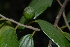  ( - OM2325)  @11 [ ] Unspecified (default): All Rights Reserved  Unspecified Unspecified
