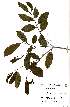  ( - OM2337)  @11 [ ] Unspecified (default): All Rights Reserved  Unspecified Unspecified