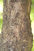  ( - OM2337)  @11 [ ] Unspecified (default): All Rights Reserved  Unspecified Unspecified