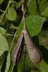  ( - OM2337)  @11 [ ] Unspecified (default): All Rights Reserved  Unspecified Unspecified