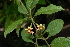  ( - OM2337)  @11 [ ] Unspecified (default): All Rights Reserved  Unspecified Unspecified