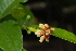  ( - OM2337)  @11 [ ] Unspecified (default): All Rights Reserved  Unspecified Unspecified