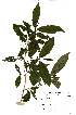  ( - OM2340)  @11 [ ] Unspecified (default): All Rights Reserved  Unspecified Unspecified