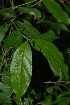  ( - OM2340)  @11 [ ] Unspecified (default): All Rights Reserved  Unspecified Unspecified