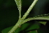  ( - OM2343)  @11 [ ] Unspecified (default): All Rights Reserved  Unspecified Unspecified