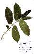  ( - OM2344)  @11 [ ] Unspecified (default): All Rights Reserved  Unspecified Unspecified