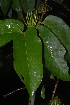  ( - OM2344)  @11 [ ] Unspecified (default): All Rights Reserved  Unspecified Unspecified