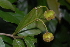  ( - OM2345)  @11 [ ] Unspecified (default): All Rights Reserved  Unspecified Unspecified