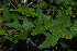  ( - OM2354)  @11 [ ] Unspecified (default): All Rights Reserved  Unspecified Unspecified