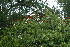  ( - OM2354)  @11 [ ] Unspecified (default): All Rights Reserved  Unspecified Unspecified