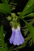  ( - OM2359)  @13 [ ] Unspecified (default): All Rights Reserved  Unspecified Unspecified