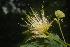  ( - OM2363)  @12 [ ] Unspecified (default): All Rights Reserved  Unspecified Unspecified