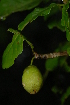  ( - OM2364)  @11 [ ] Unspecified (default): All Rights Reserved  Unspecified Unspecified