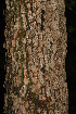  ( - OM2364)  @11 [ ] Unspecified (default): All Rights Reserved  Unspecified Unspecified