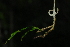  ( - OM2364)  @11 [ ] Unspecified (default): All Rights Reserved  Unspecified Unspecified