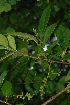  ( - OM2367)  @11 [ ] Unspecified (default): All Rights Reserved  Unspecified Unspecified