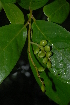  ( - OM2367)  @11 [ ] Unspecified (default): All Rights Reserved  Unspecified Unspecified