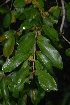  ( - OM2377)  @11 [ ] Unspecified (default): All Rights Reserved  Unspecified Unspecified