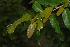  ( - OM2377)  @11 [ ] Unspecified (default): All Rights Reserved  Unspecified Unspecified