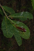  ( - OM2378)  @11 [ ] Unspecified (default): All Rights Reserved  Unspecified Unspecified