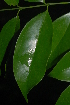  ( - OM2381)  @11 [ ] Unspecified (default): All Rights Reserved  Unspecified Unspecified