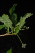  ( - OM2384)  @11 [ ] Unspecified (default): All Rights Reserved  Unspecified Unspecified