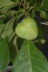  ( - OM2385)  @11 [ ] Unspecified (default): All Rights Reserved  Unspecified Unspecified