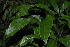  ( - OM2389)  @11 [ ] Unspecified (default): All Rights Reserved  Unspecified Unspecified