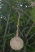  ( - OM2389)  @11 [ ] Unspecified (default): All Rights Reserved  Unspecified Unspecified